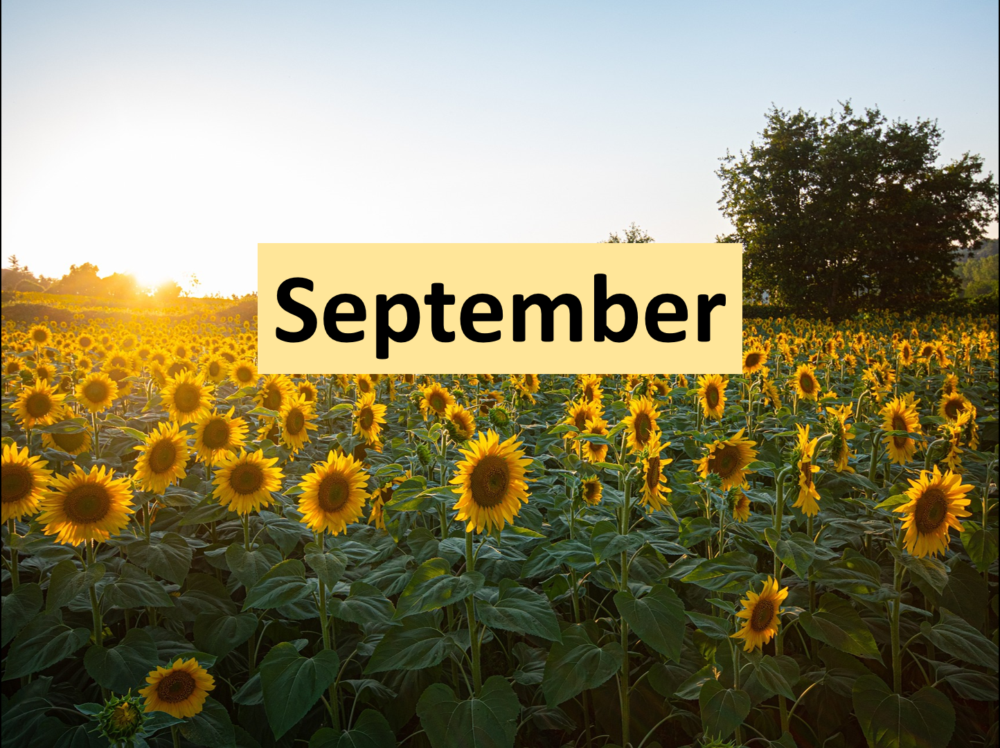 May September September 2024 - Netteregion